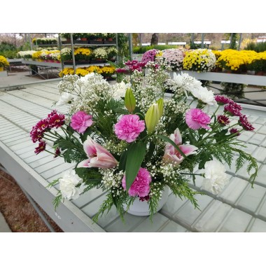 CENTRO FLOR NATURAL 2