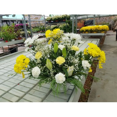 CENTRO FLOR NATURAL 4