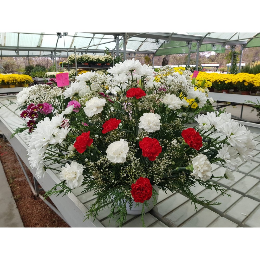 CENTRO FLOR NATURAL 6