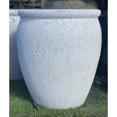 BOLONIA