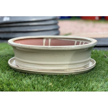 Maceta bonsai Merak blanco