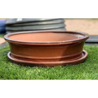 Maceta bonsai merak marrón