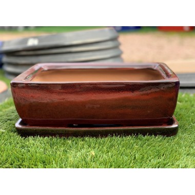 MACETA BONSAI RECTANGULAR ROJA 