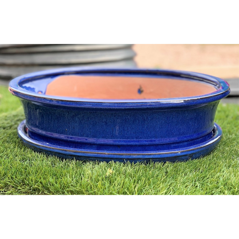 MACETA BONSAI MERAK AZUL