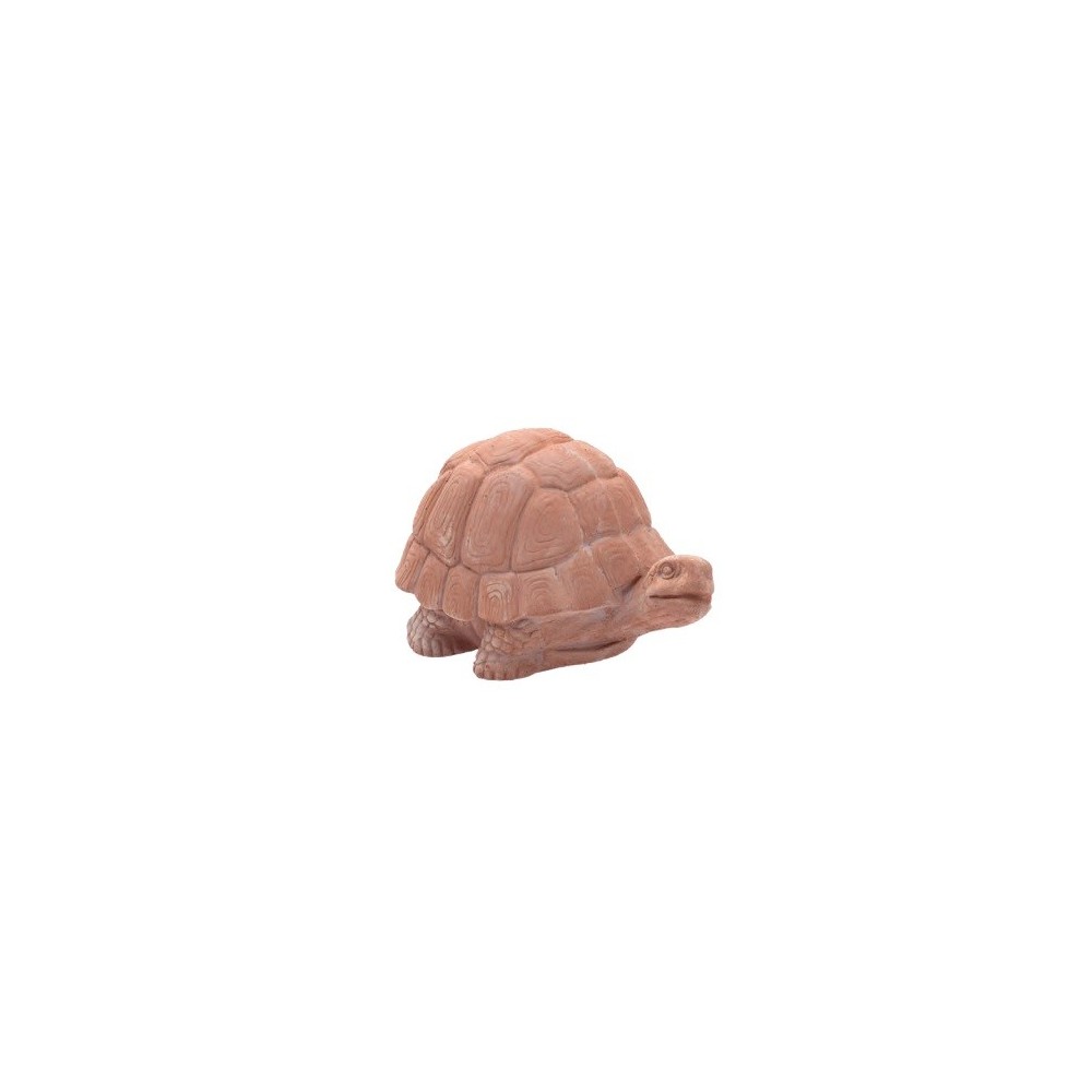 TORTUGA