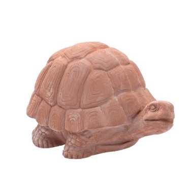 TORTUGA