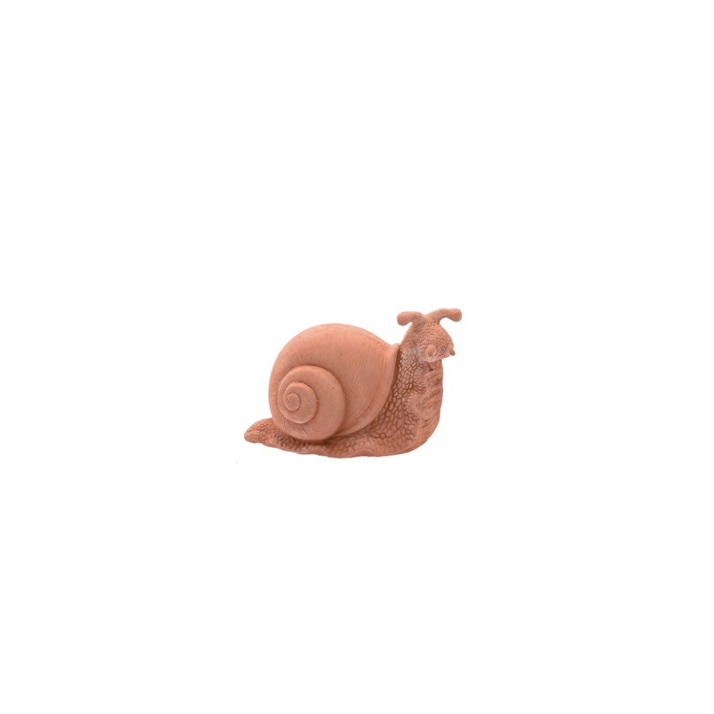 CARACOL