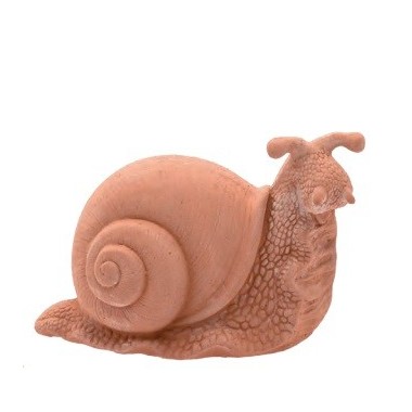 CARACOL