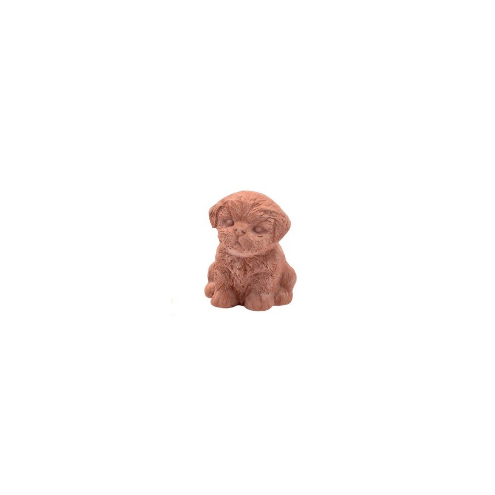 CACHORRO