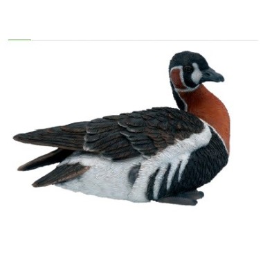 PATO DUFFY