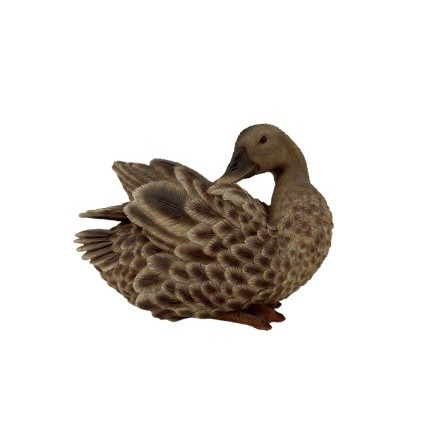 PATO ALZAVOLA