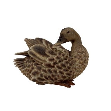 PATO ALZAVOLA