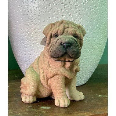PERRO SHAR PEI BEBÉ 