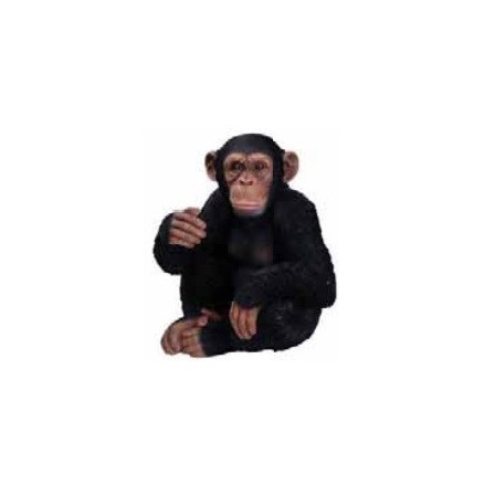 CHIMPANCÉ