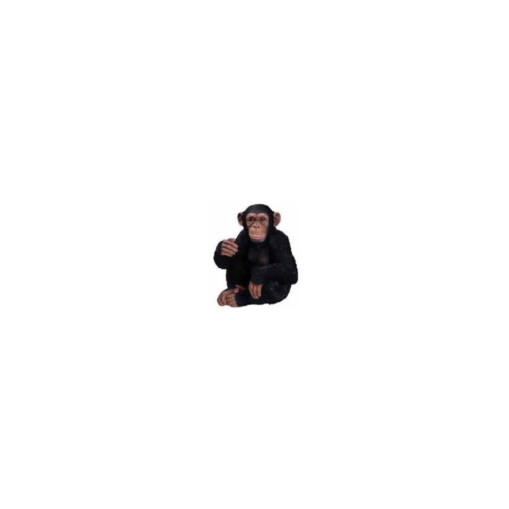 CHIMPANCÉ