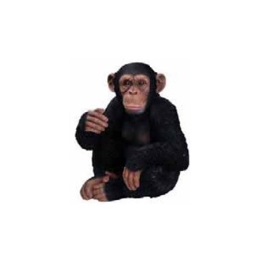 CHIMPANCÉ