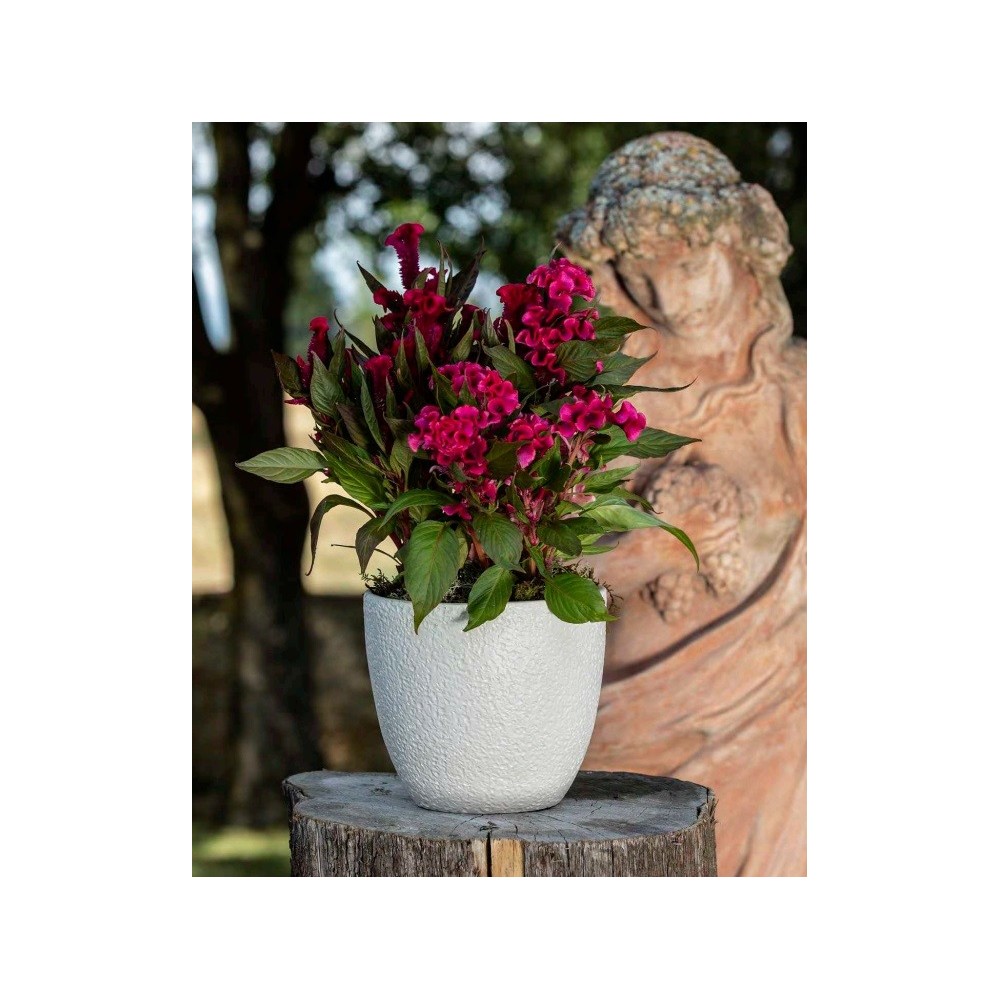 VASO BASIC BLANCO