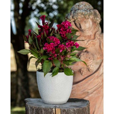 VASO BASIC BLANCO