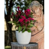 VASO BASIC BLANCO
