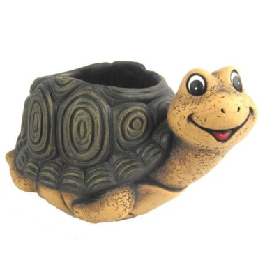 MACETERO TORTUGA