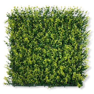 JARDÍN VERTICAL BOJ BICOLOR 