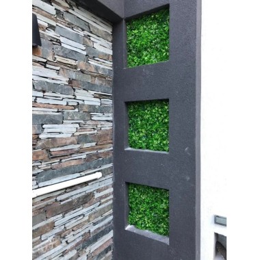 JARDÍN VERTICAL TRÉBOL