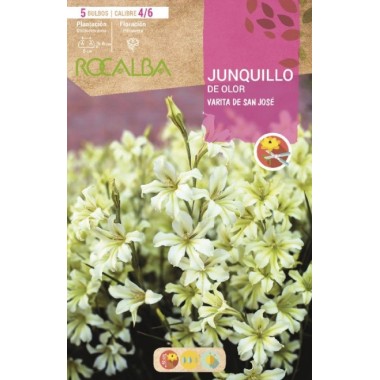JUNQUILLOS DE OLOR