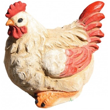 GALLINA AMANDA