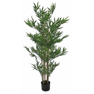 ÁRBOL BAMBÚ