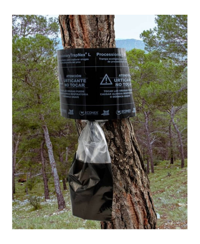 TRAMPA PROCESIONARIA