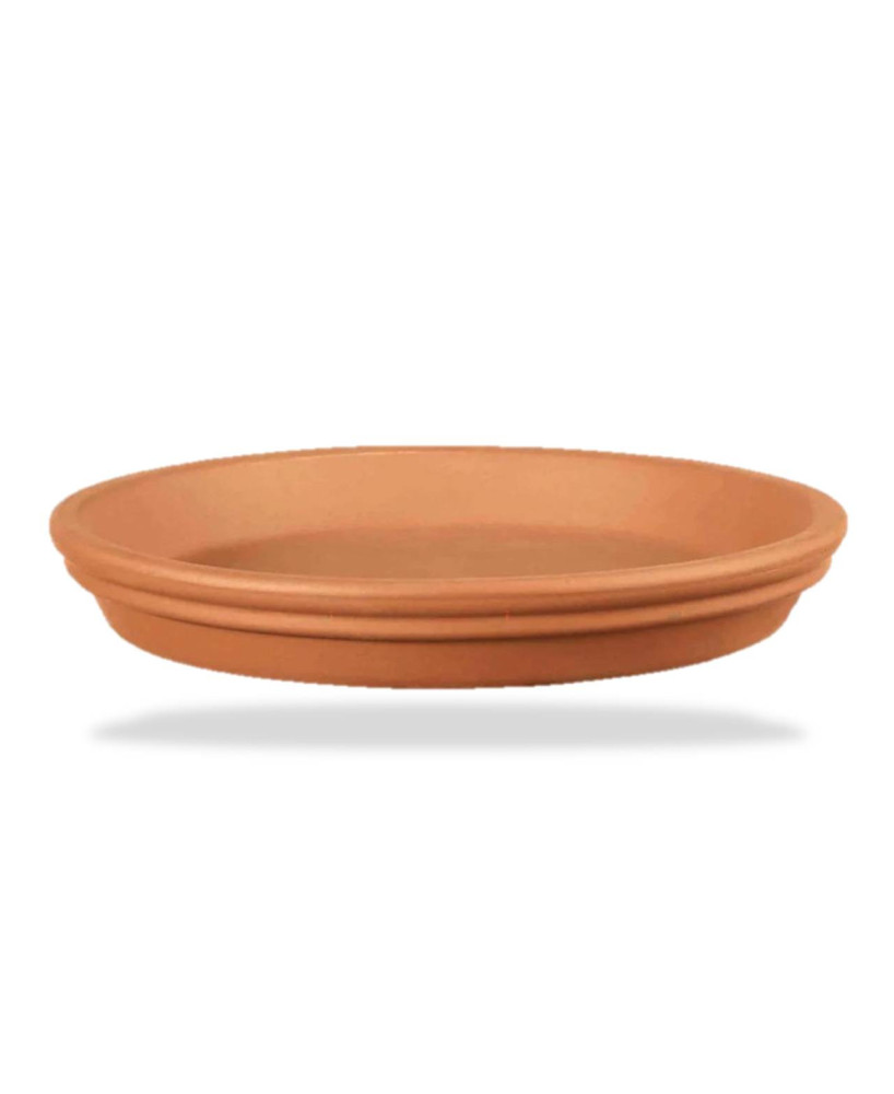 PLATO BARRO ROJO