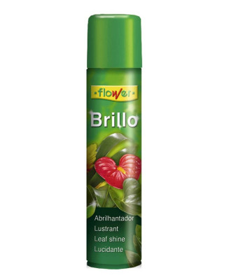 BRILLO PLANTA NATURAL