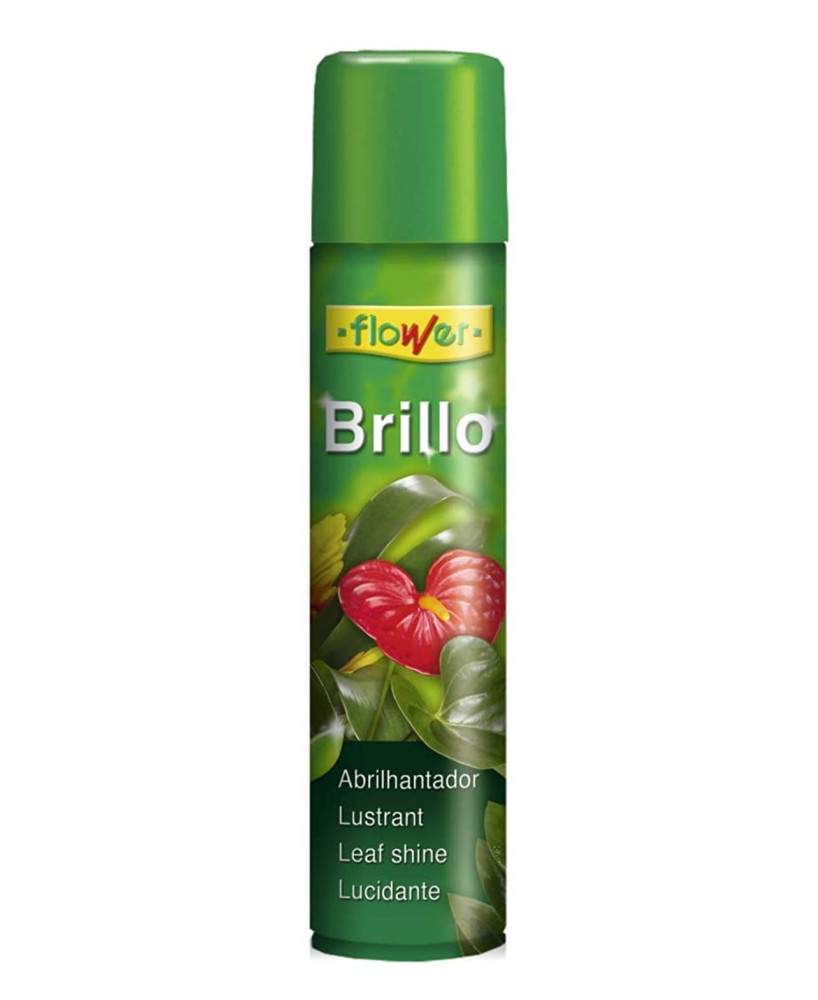 BRILLO PLANTA NATURAL