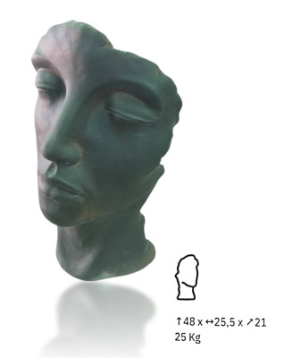 HINONGA OXIDO CARA