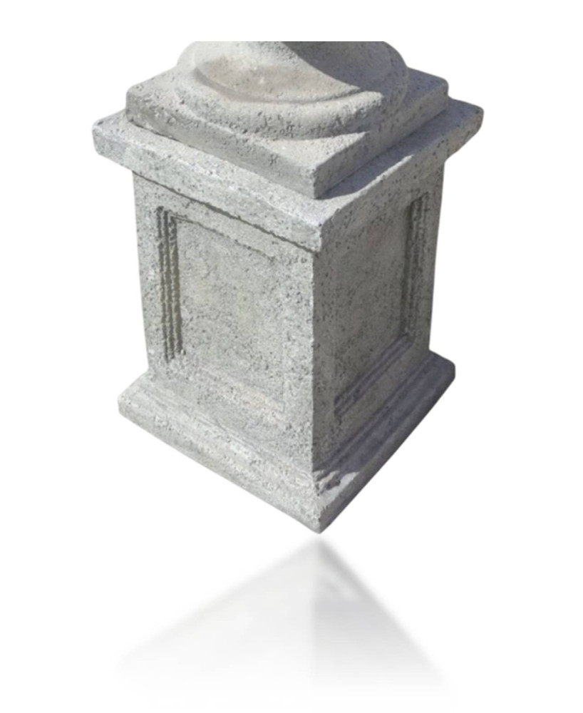 COLUMNA MERICA MUSGO