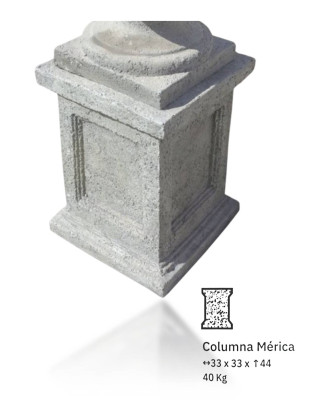 COLUMNA MERICA MUSGO