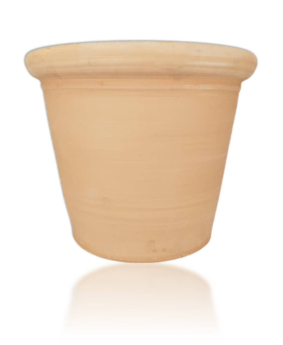 MACETA PALMERA