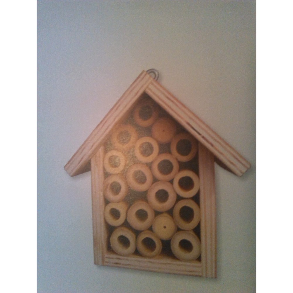 CASETA INSECTOS